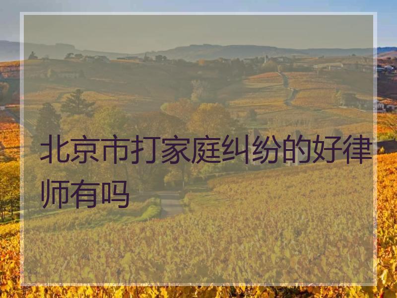 北京市打家庭纠纷的好律师有吗