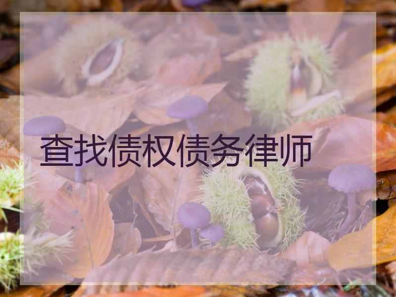 查找债权债务律师