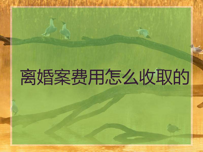 离婚案费用怎么收取的