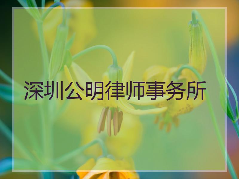 深圳公明律师事务所