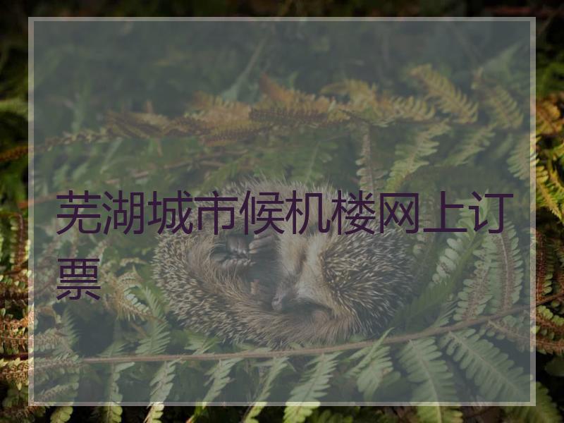 芜湖城市候机楼网上订票