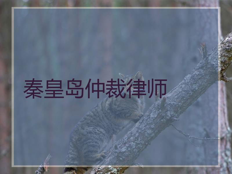 秦皇岛仲裁律师