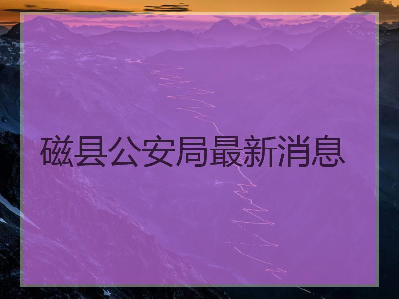 磁县公安局最新消息