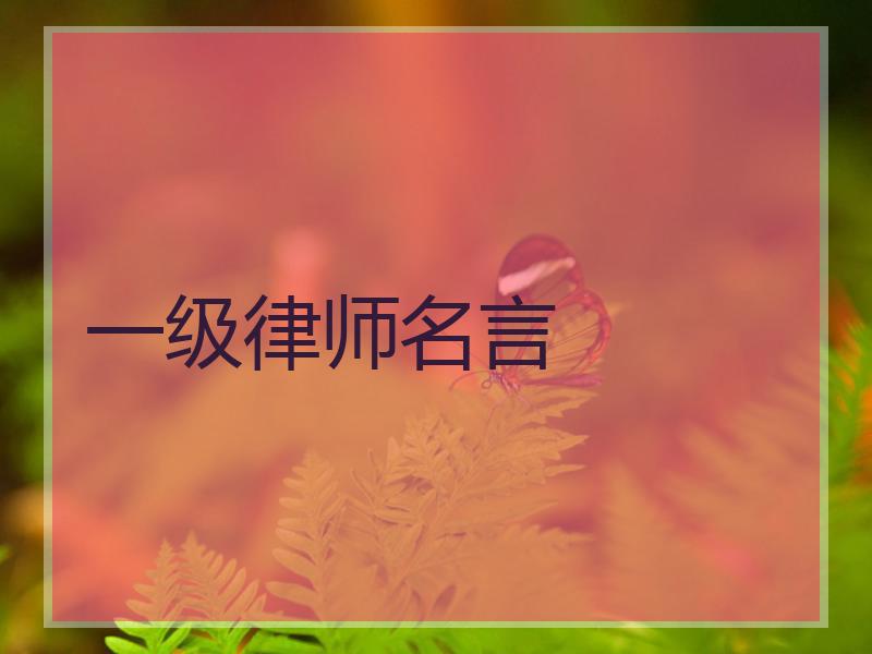 一级律师名言