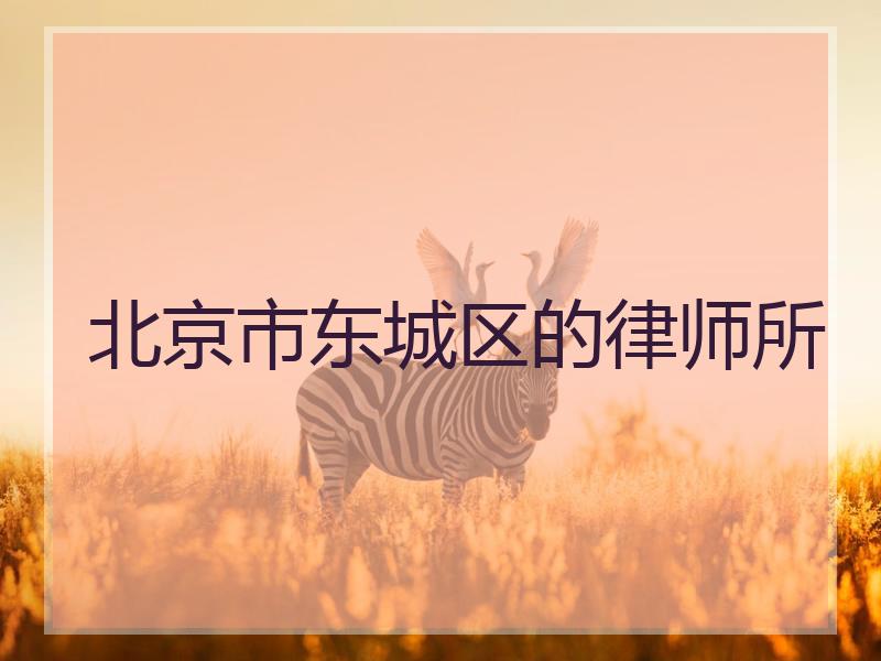 北京市东城区的律师所