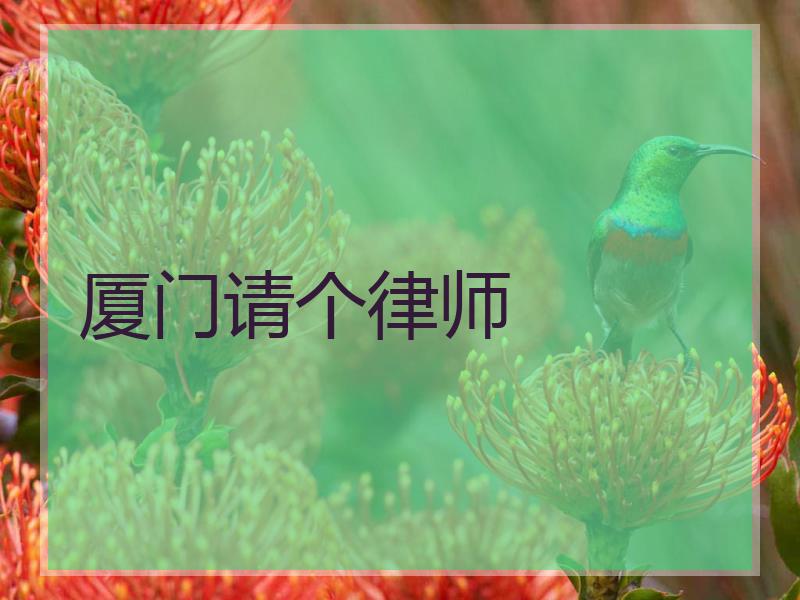 厦门请个律师