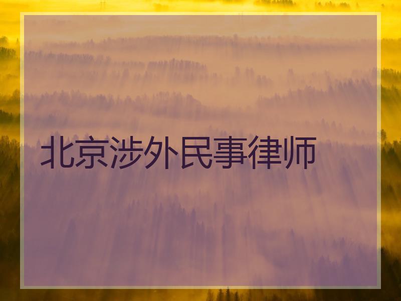 北京涉外民事律师