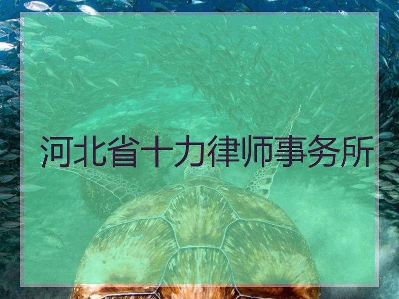 河北省十力律师事务所