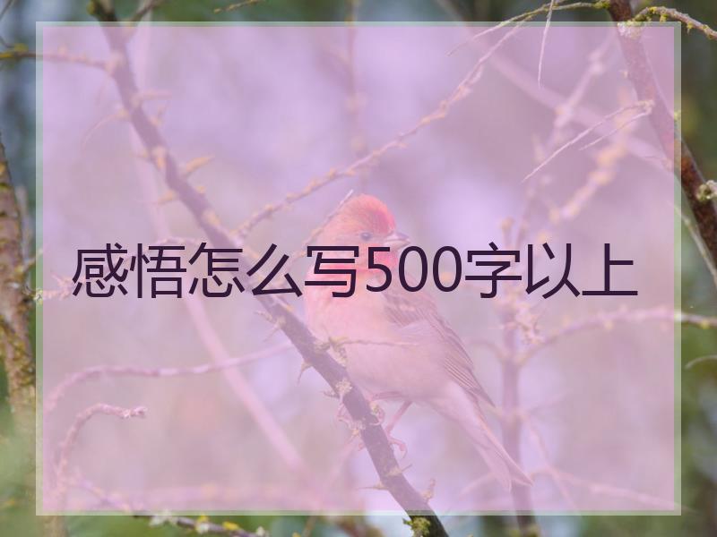 感悟怎么写500字以上