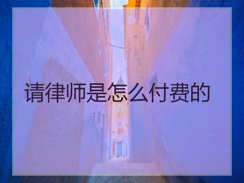 请律师是怎么付费的