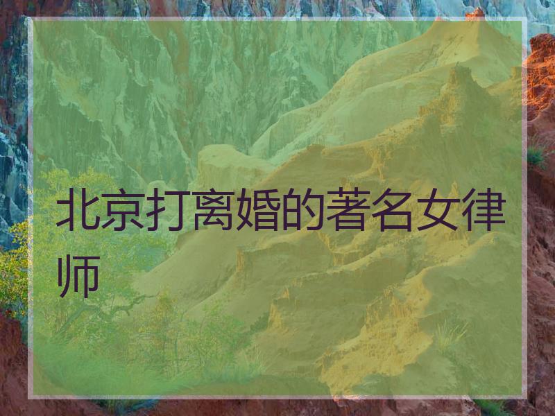 北京打离婚的著名女律师