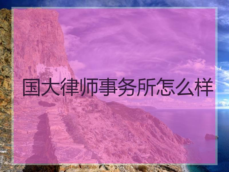 国大律师事务所怎么样