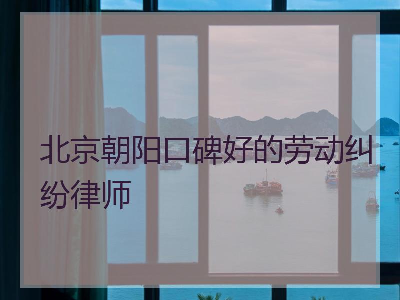 北京朝阳口碑好的劳动纠纷律师