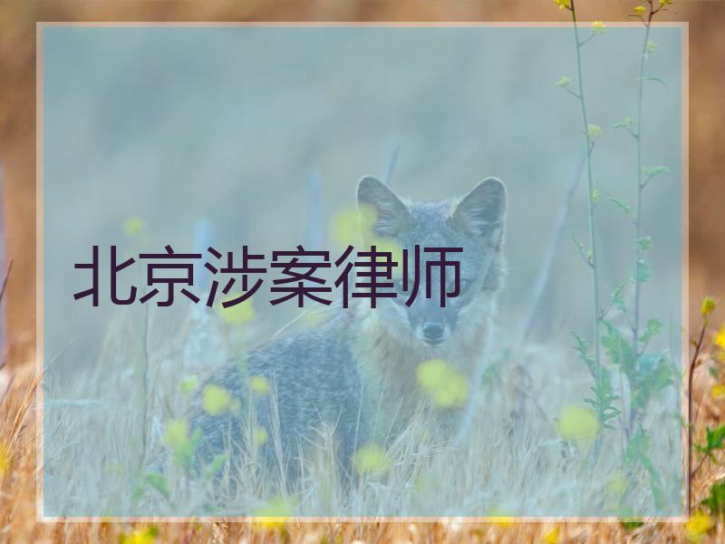 北京涉案律师