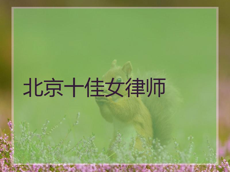 北京十佳女律师