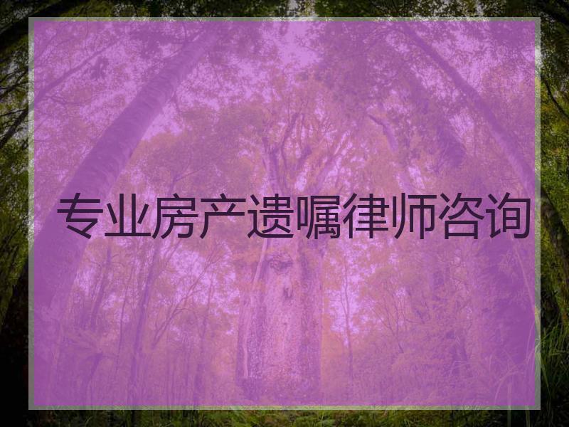 专业房产遗嘱律师咨询