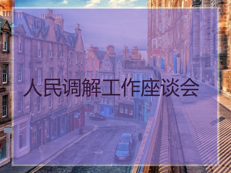 人民调解工作座谈会