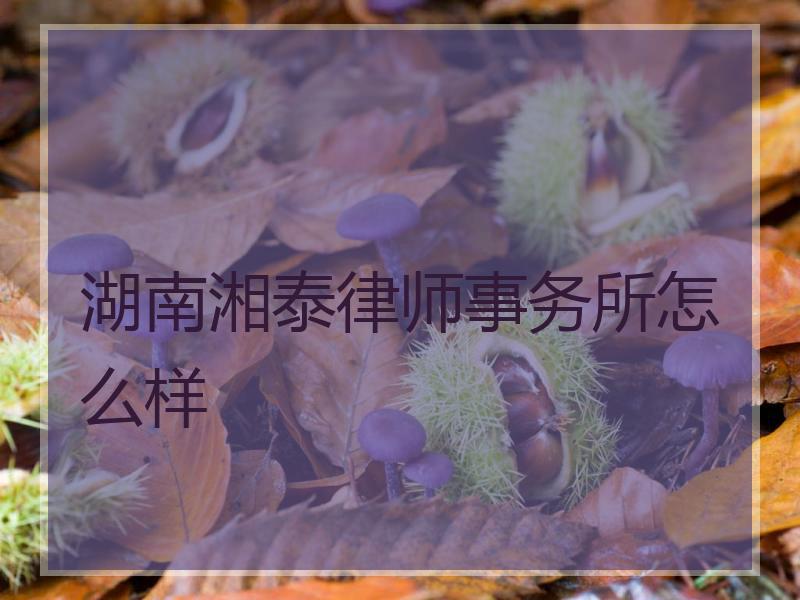 湖南湘泰律师事务所怎么样