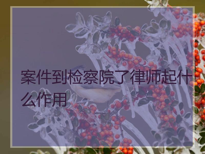 案件到检察院了律师起什么作用