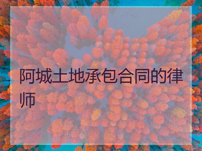 阿城土地承包合同的律师