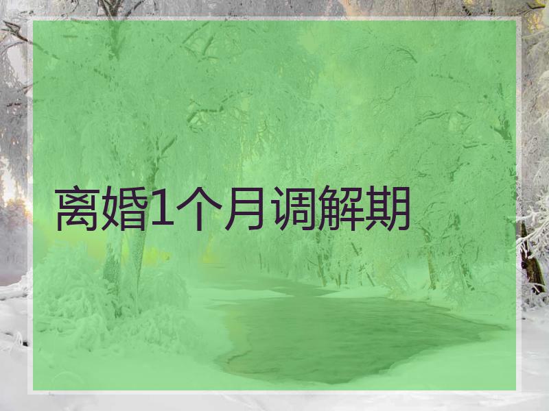离婚1个月调解期