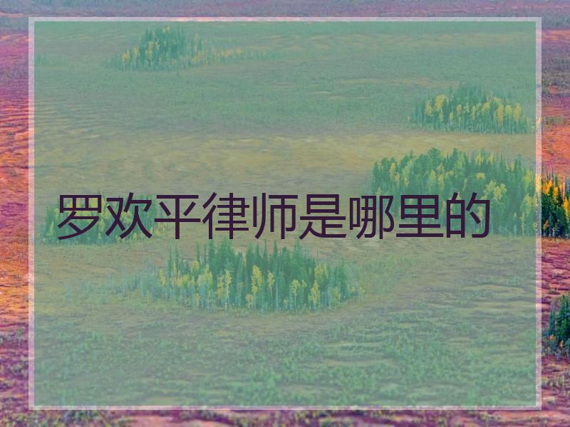 罗欢平律师是哪里的