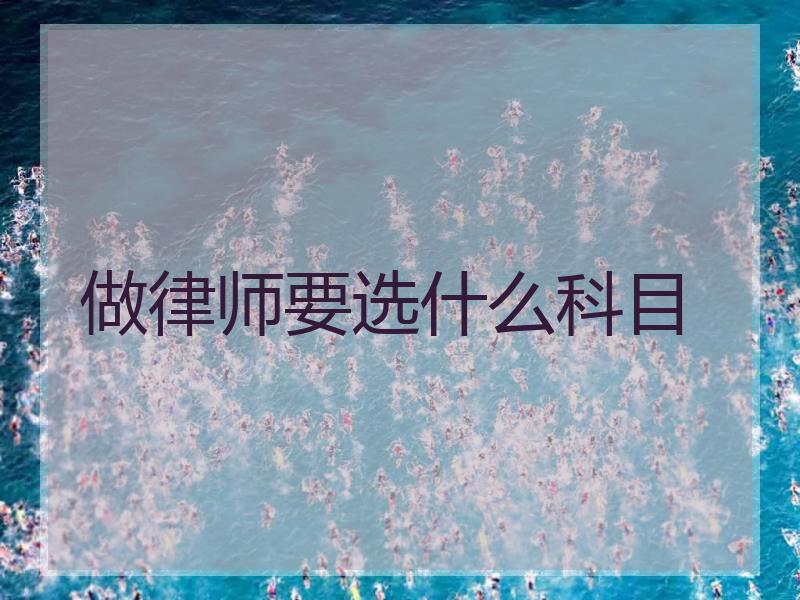 做律师要选什么科目