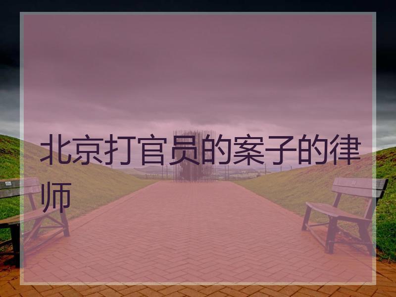 北京打官员的案子的律师