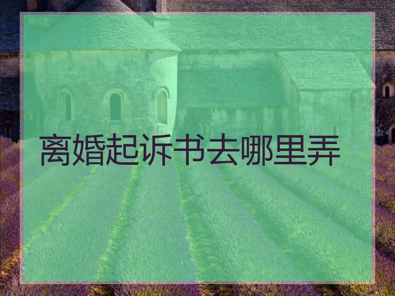 离婚起诉书去哪里弄