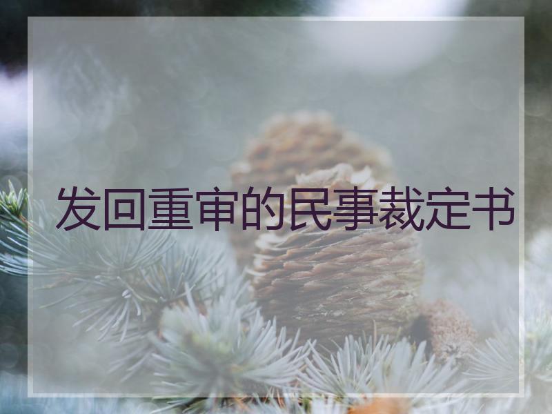 发回重审的民事裁定书