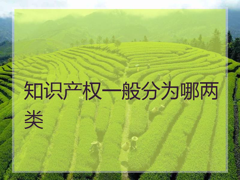 知识产权一般分为哪两类