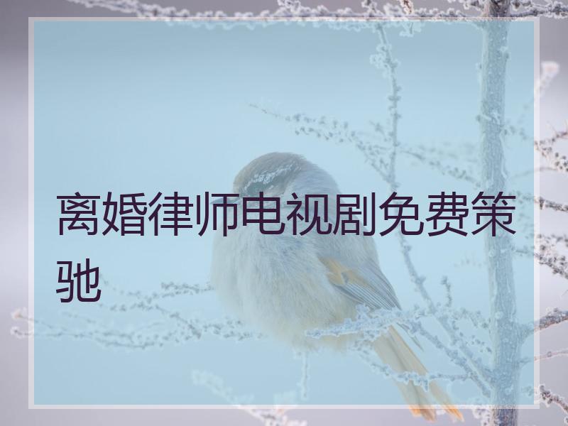 离婚律师电视剧免费策驰