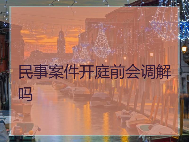民事案件开庭前会调解吗