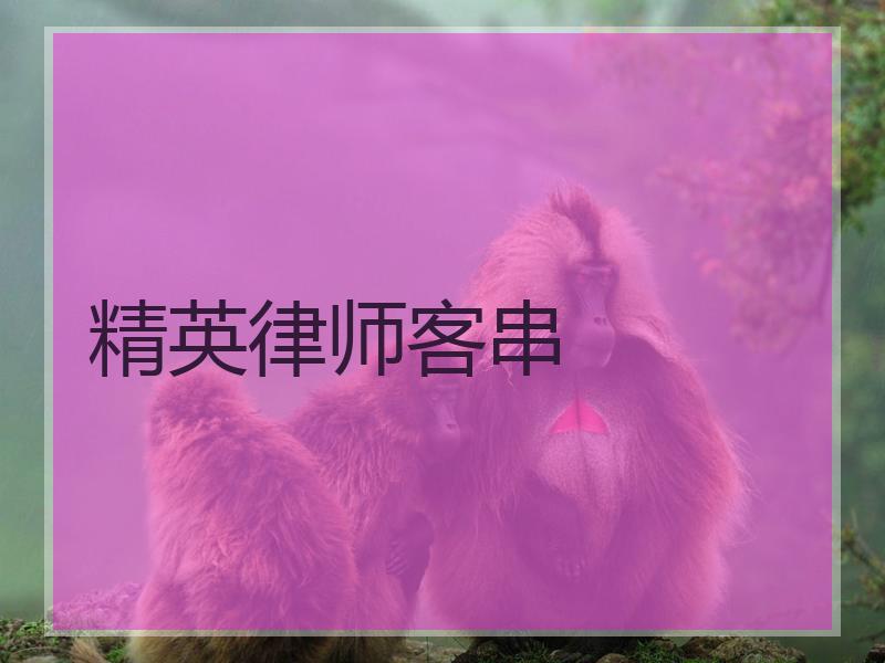 精英律师客串