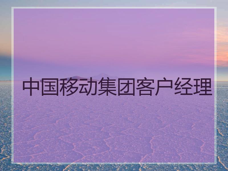 中国移动集团客户经理