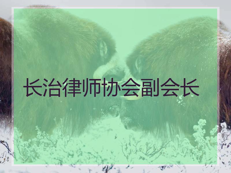 长治律师协会副会长