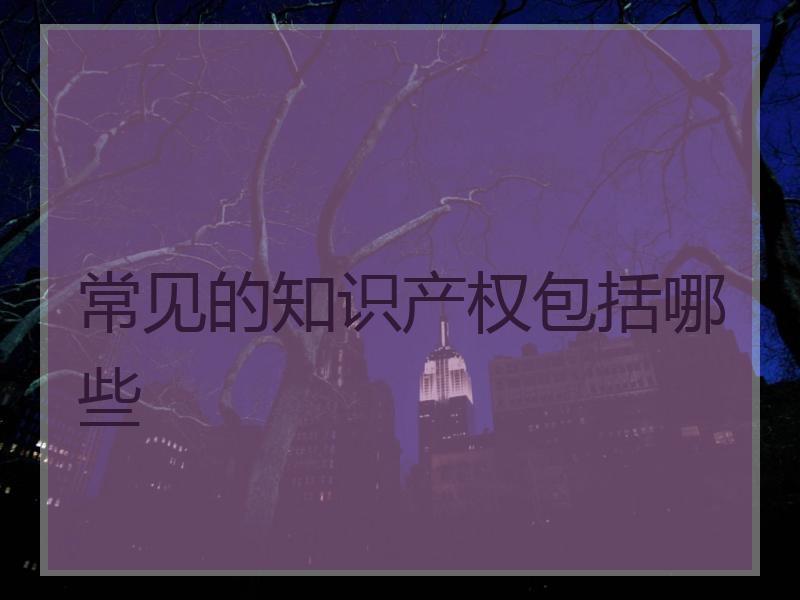 常见的知识产权包括哪些