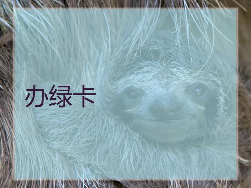 办绿卡