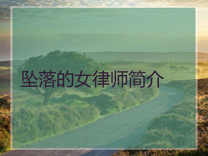坠落的女律师简介