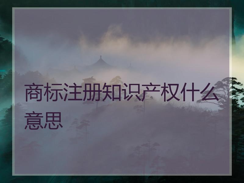 商标注册知识产权什么意思