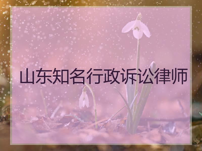 山东知名行政诉讼律师