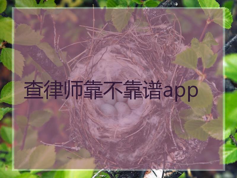 查律师靠不靠谱app