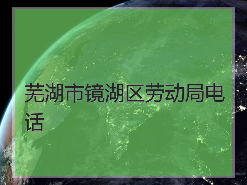 芜湖市镜湖区劳动局电话