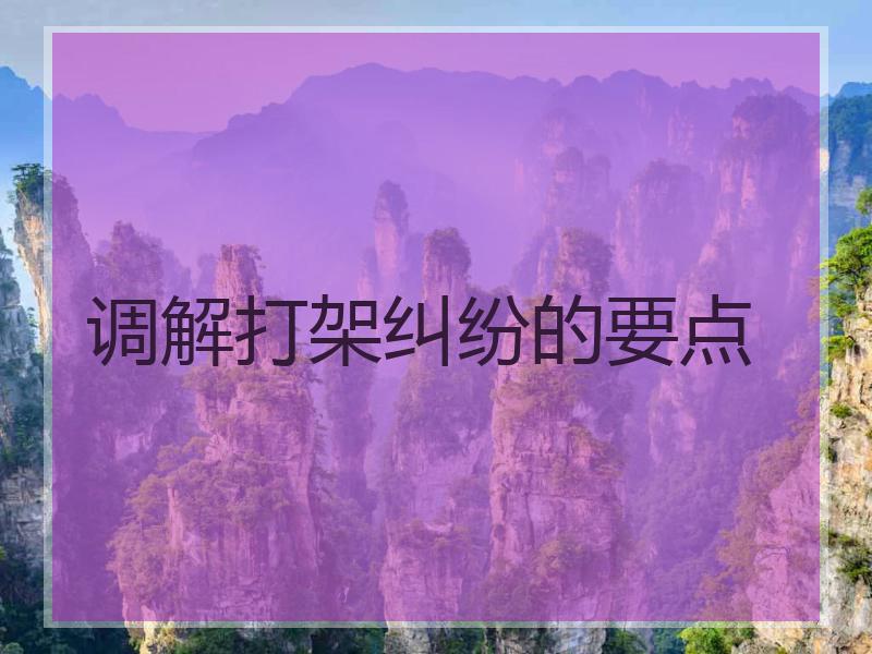 调解打架纠纷的要点