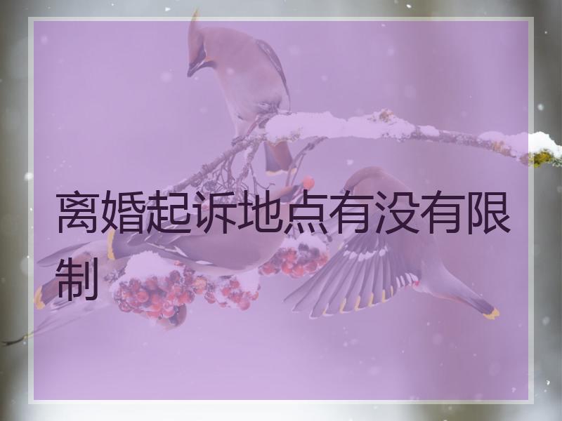 离婚起诉地点有没有限制