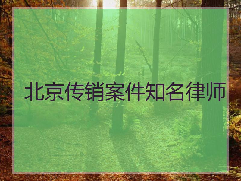 北京传销案件知名律师