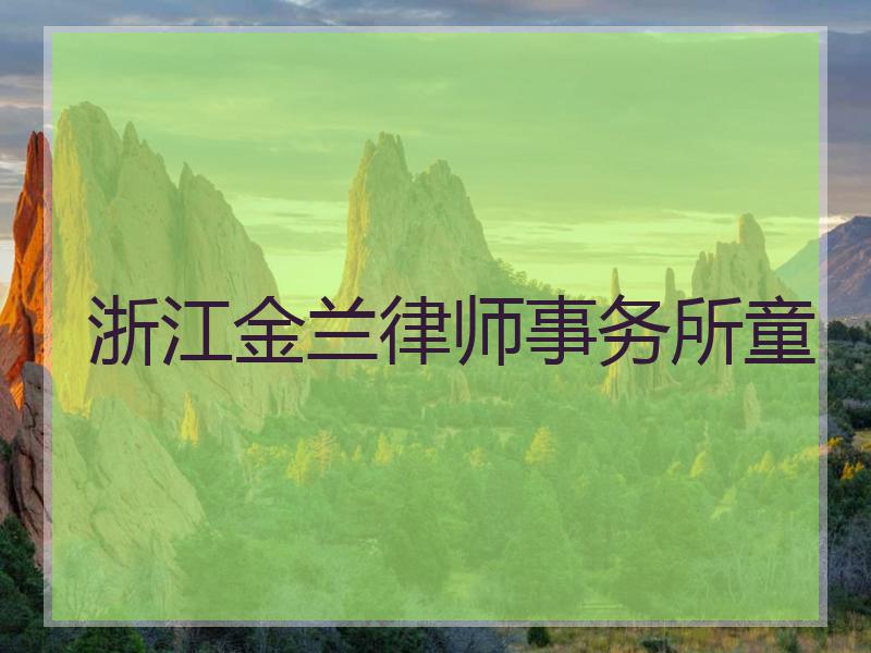 浙江金兰律师事务所童