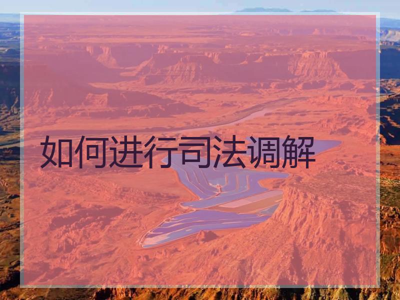 如何进行调解