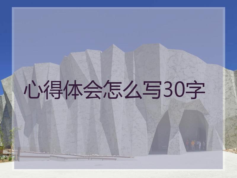 心得体会怎么写30字