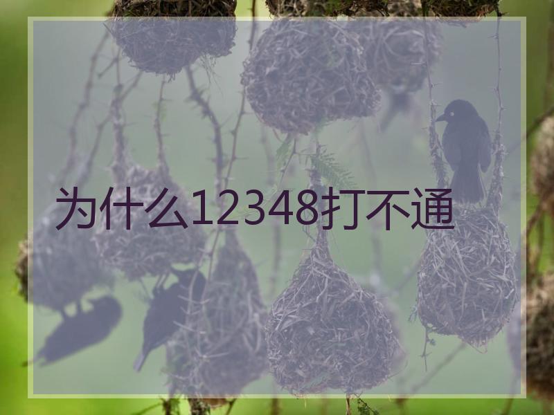 为什么12348打不通